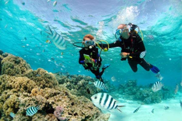 Dive N' Smile Tahiti plongée sous-marine